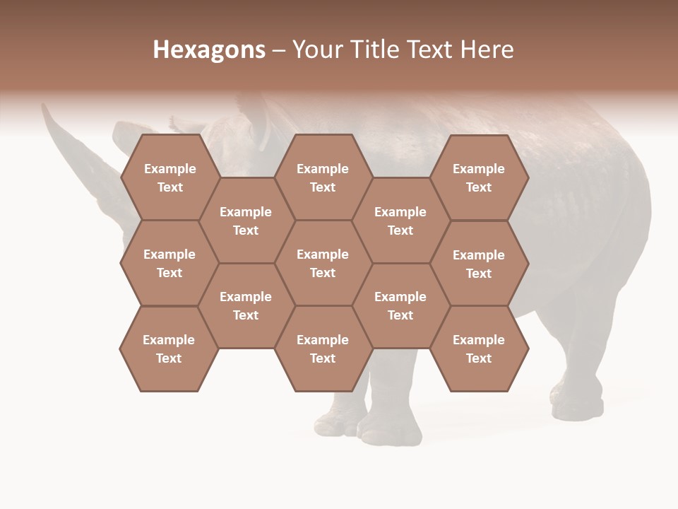 Background Safari Wild PowerPoint Template