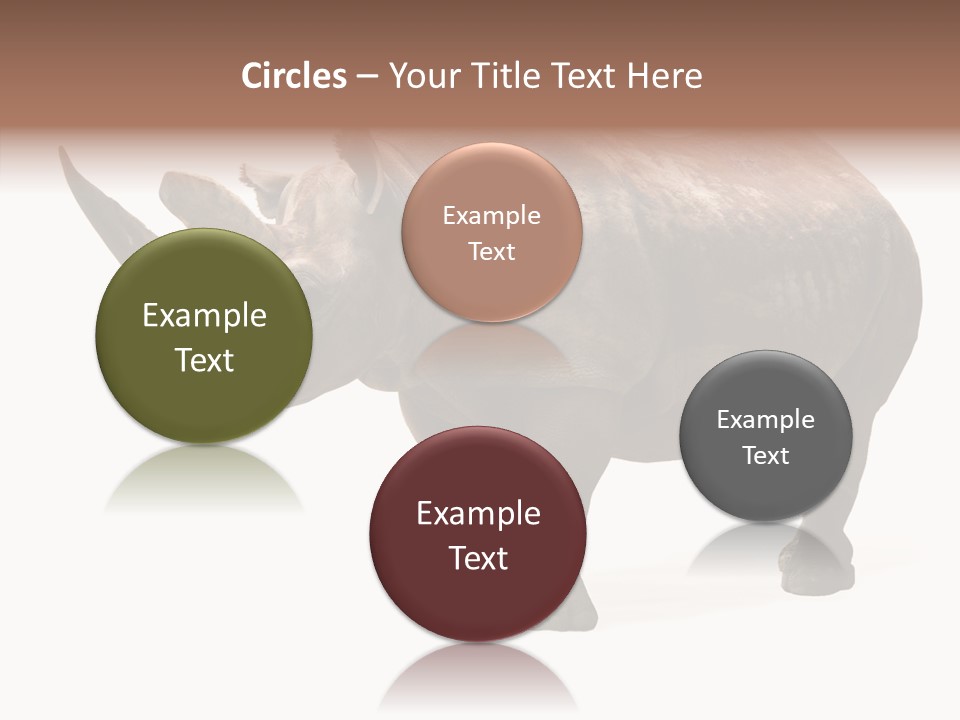 Background Safari Wild PowerPoint Template