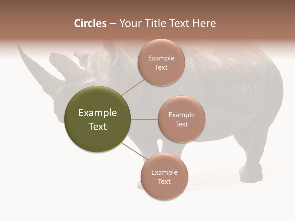 Background Safari Wild PowerPoint Template