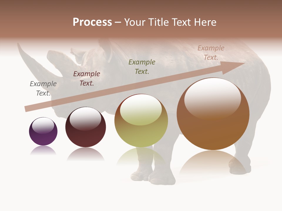 Background Safari Wild PowerPoint Template
