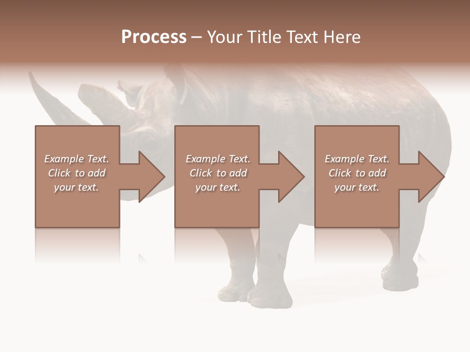 Background Safari Wild PowerPoint Template