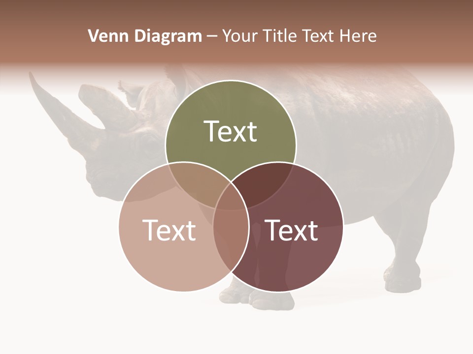 Background Safari Wild PowerPoint Template