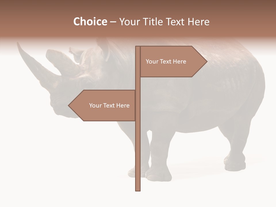 Background Safari Wild PowerPoint Template