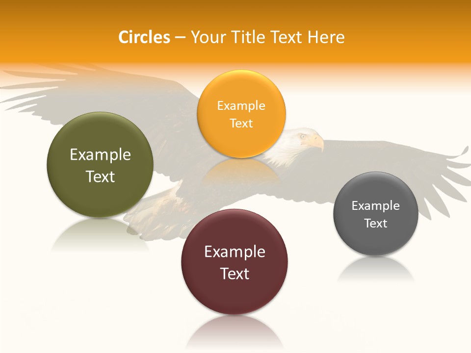 American Speed Soar PowerPoint Template