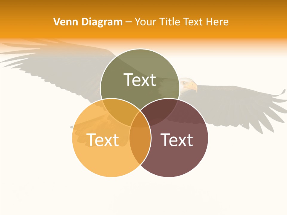 American Speed Soar PowerPoint Template