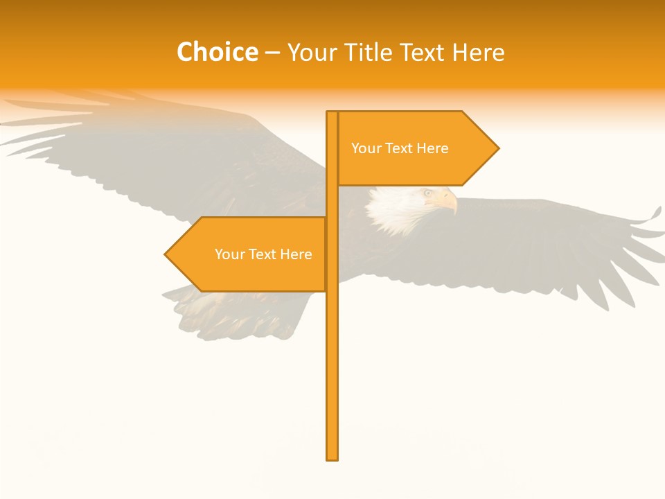 American Speed Soar PowerPoint Template