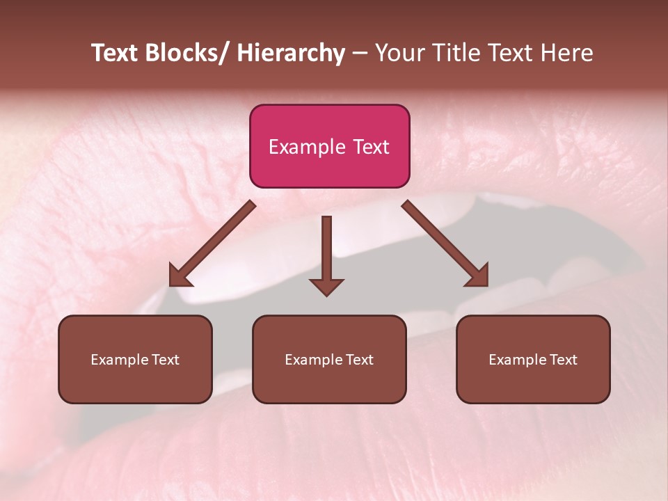 Sexy  Full PowerPoint Template