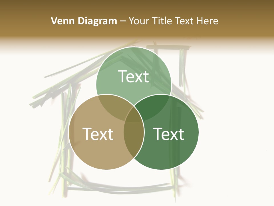 Sound Home Concept PowerPoint Template