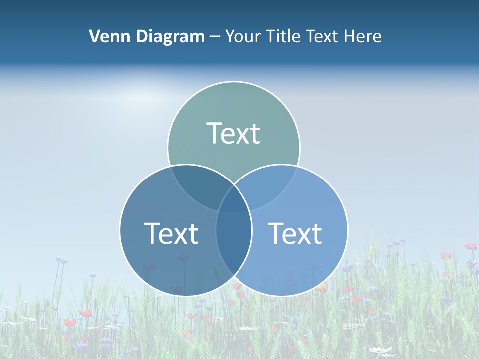 Bu Ine Communication Writing PowerPoint Template