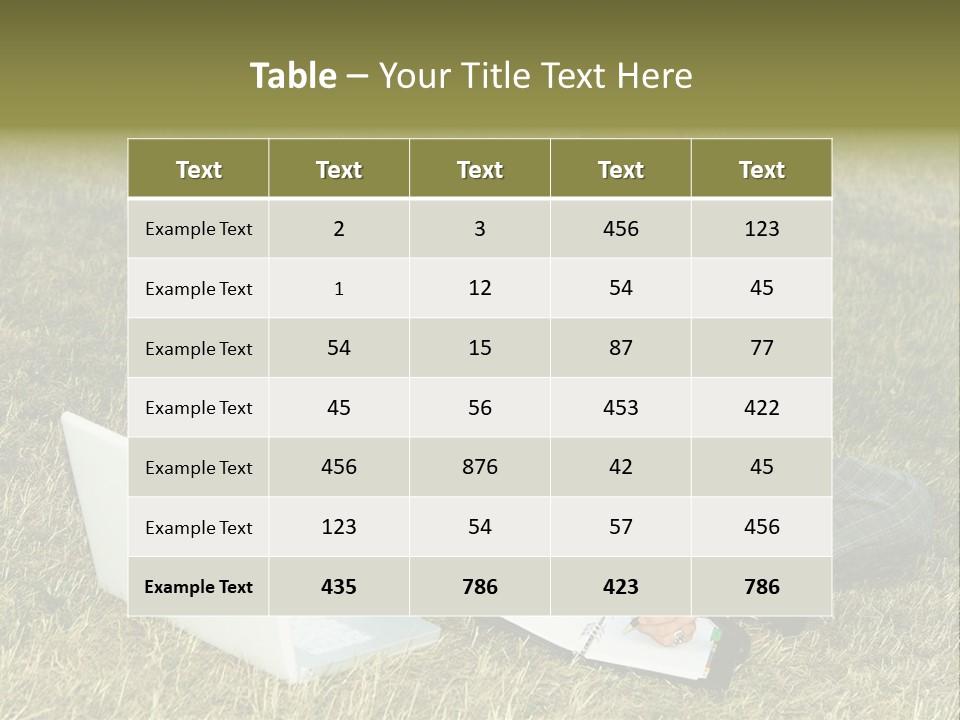 Laptop Businesswoman Success PowerPoint Template