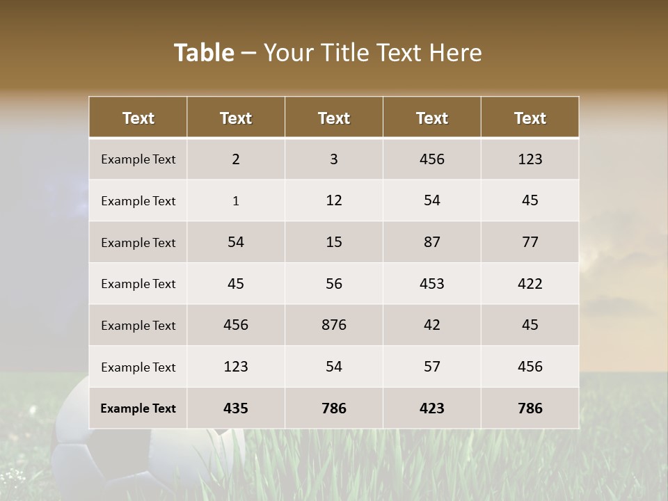 Meadow Power Ball PowerPoint Template