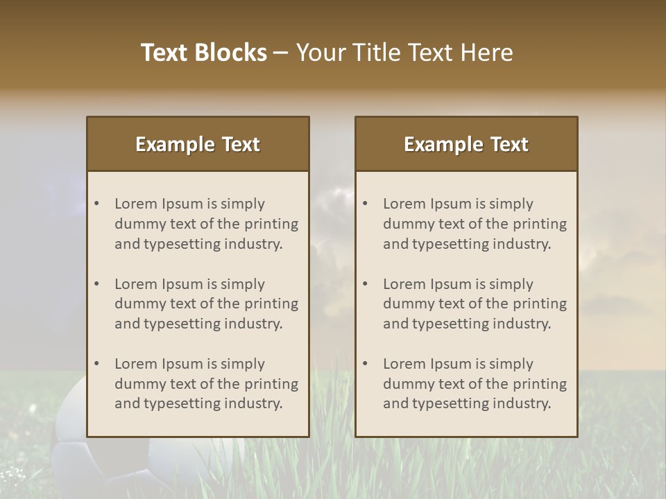 Meadow Power Ball PowerPoint Template