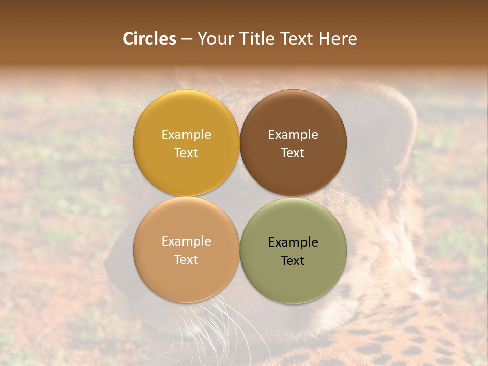 Awesome Endangered Park PowerPoint Template