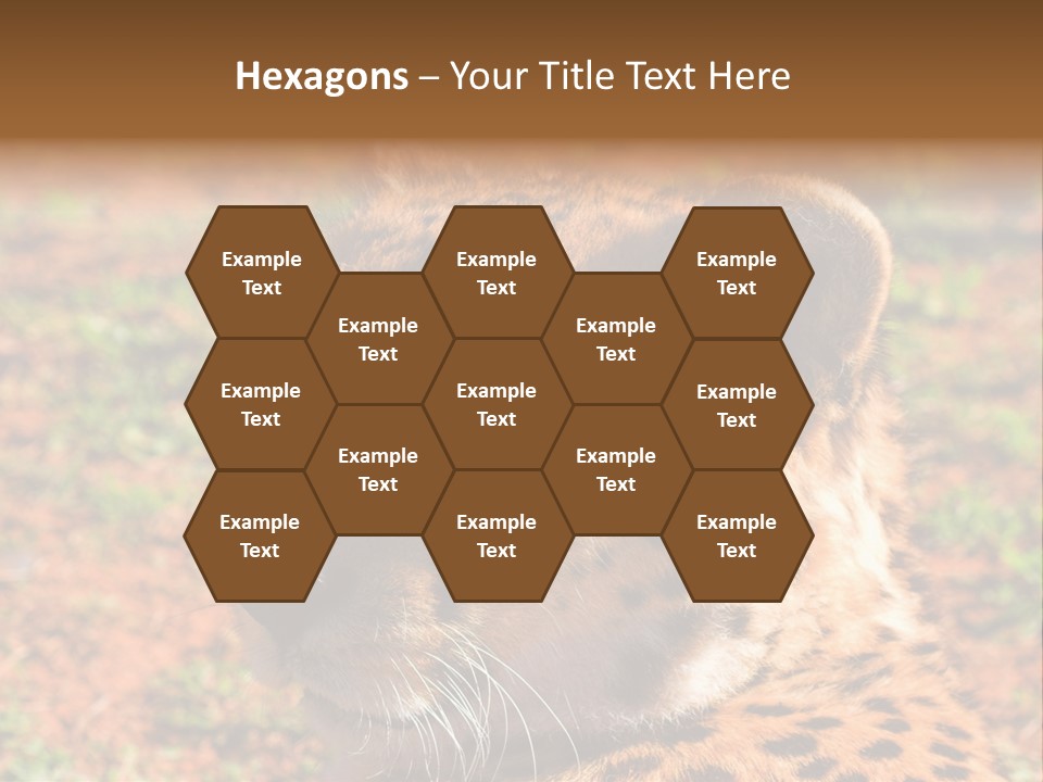 Awesome Endangered Park PowerPoint Template