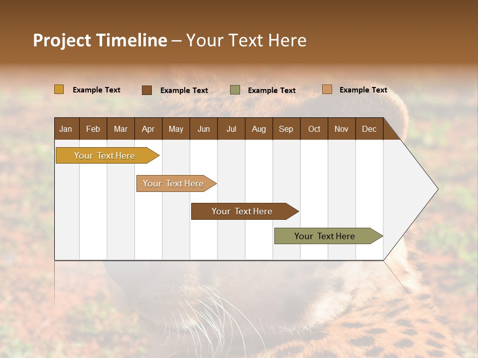Awesome Endangered Park PowerPoint Template