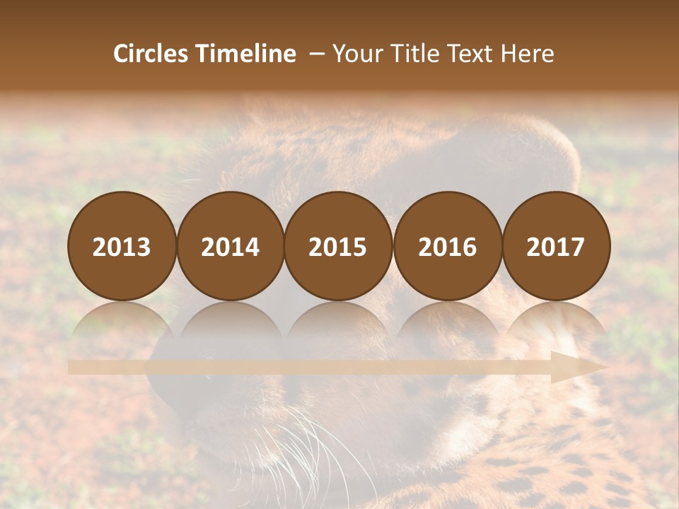 Awesome Endangered Park PowerPoint Template