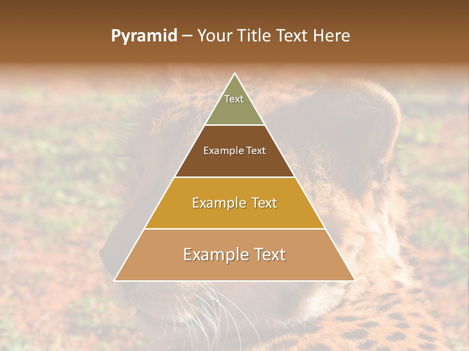 Awesome Endangered Park PowerPoint Template