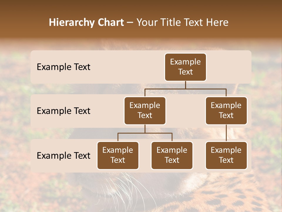 Awesome Endangered Park PowerPoint Template