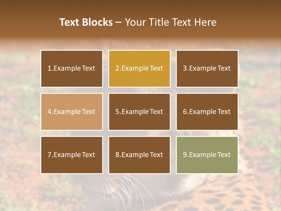Awesome Endangered Park PowerPoint Template