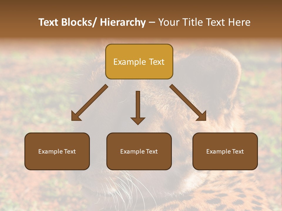 Awesome Endangered Park PowerPoint Template