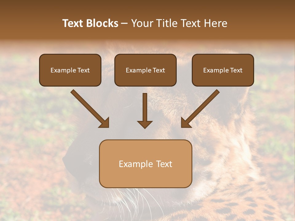 Awesome Endangered Park PowerPoint Template