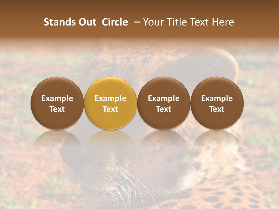 Awesome Endangered Park PowerPoint Template