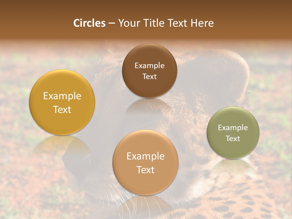 Awesome Endangered Park PowerPoint Template