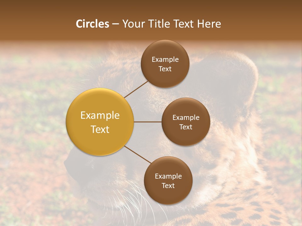 Awesome Endangered Park PowerPoint Template