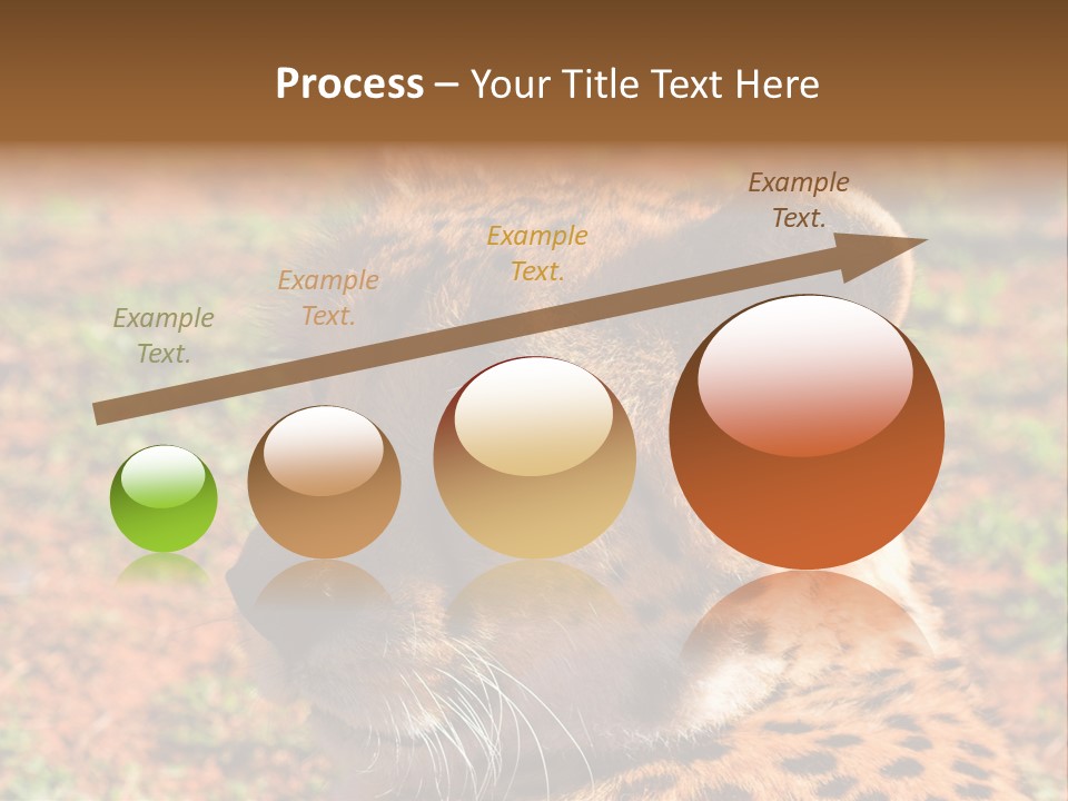 Awesome Endangered Park PowerPoint Template