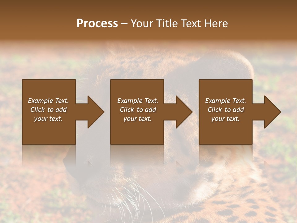 Awesome Endangered Park PowerPoint Template