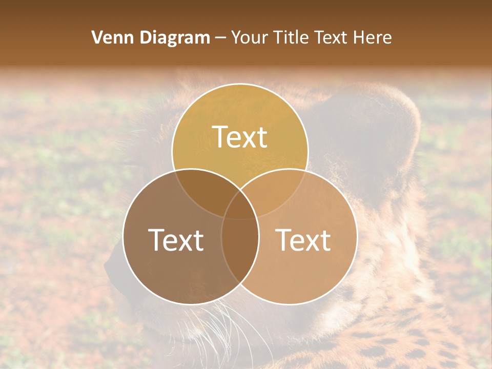 Awesome Endangered Park PowerPoint Template