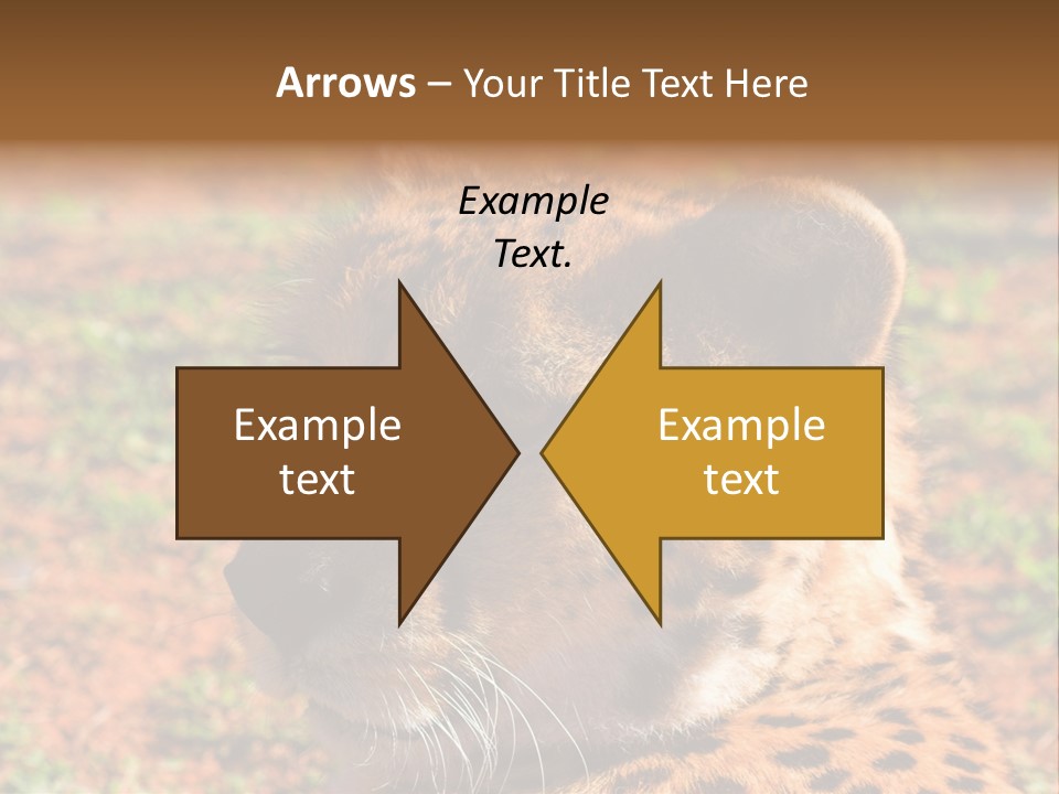 Awesome Endangered Park PowerPoint Template