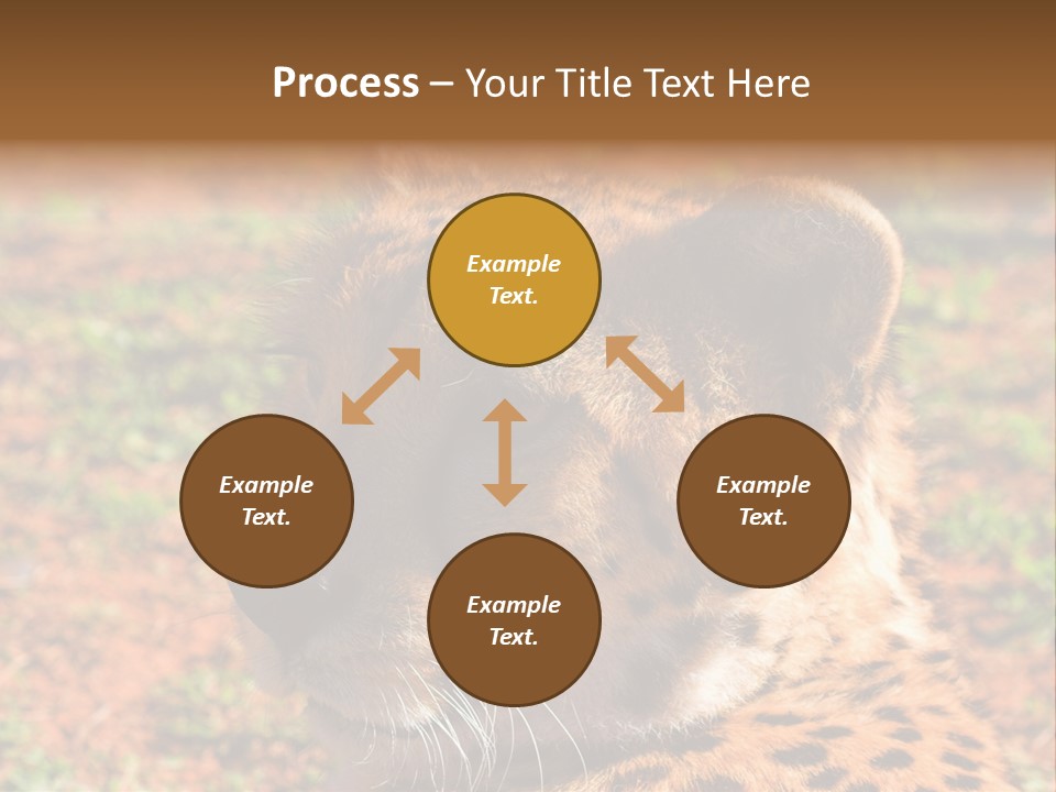 Awesome Endangered Park PowerPoint Template