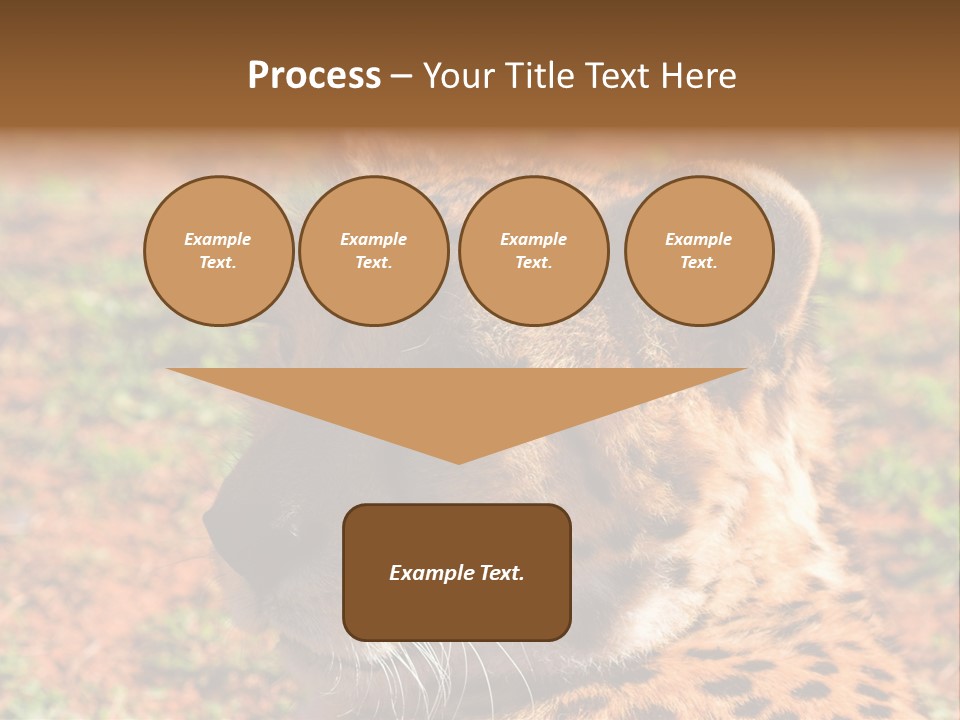 Awesome Endangered Park PowerPoint Template
