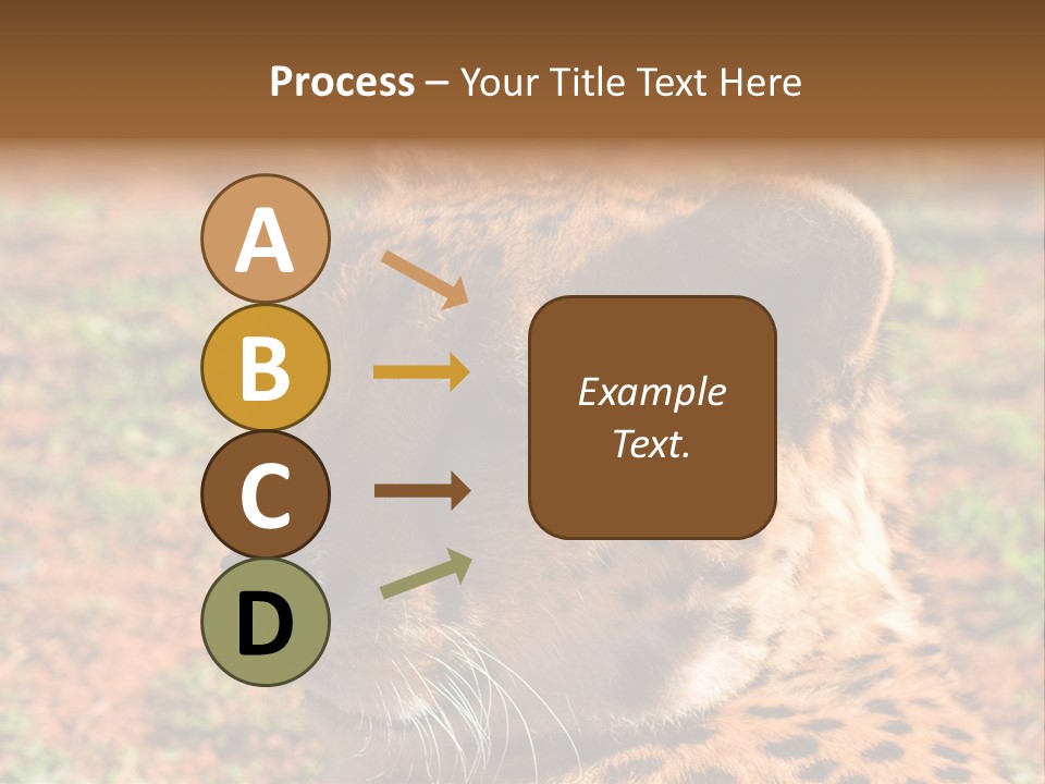 Awesome Endangered Park PowerPoint Template