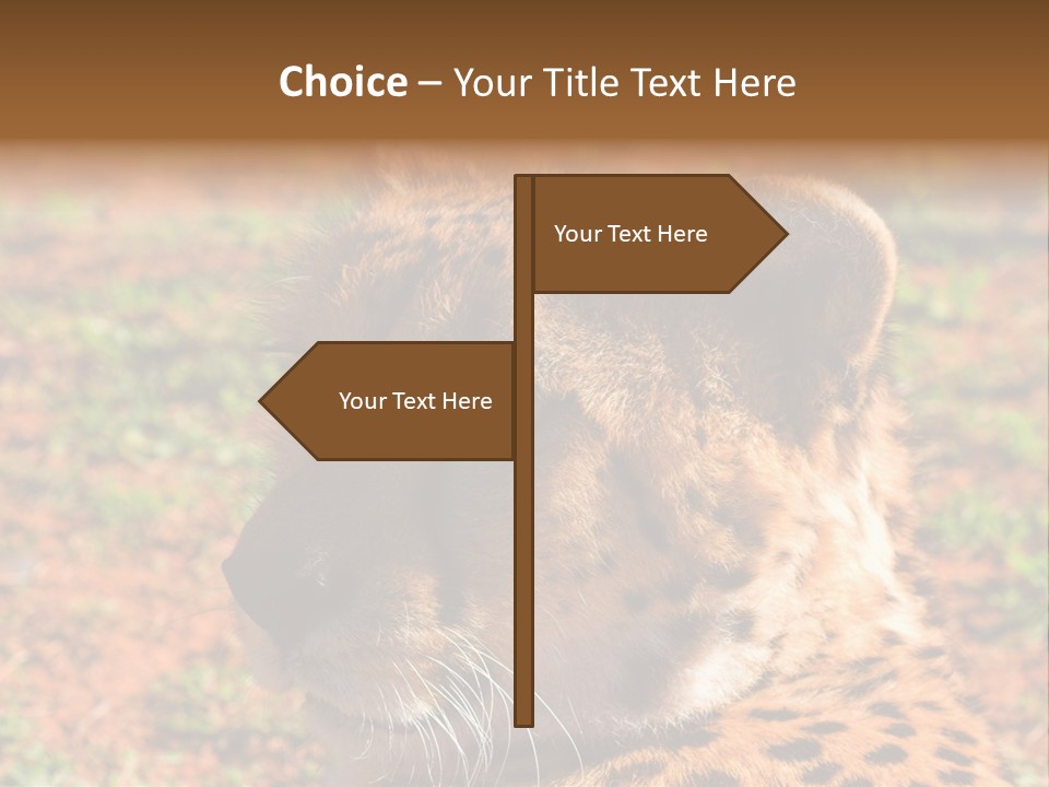 Awesome Endangered Park PowerPoint Template