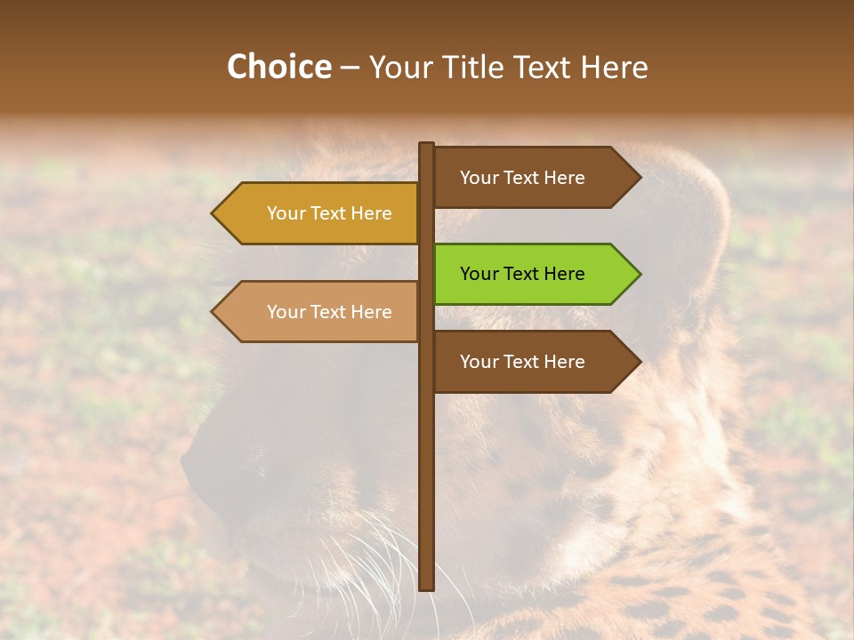 Awesome Endangered Park PowerPoint Template