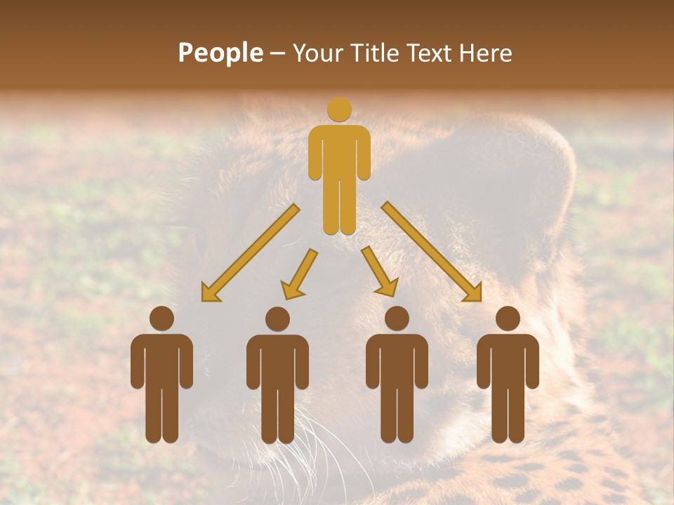 Awesome Endangered Park PowerPoint Template