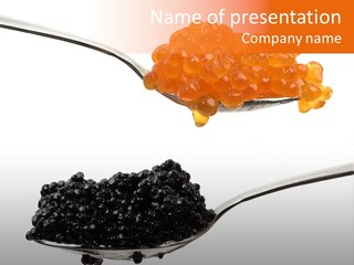 Macro White Black PowerPoint Template