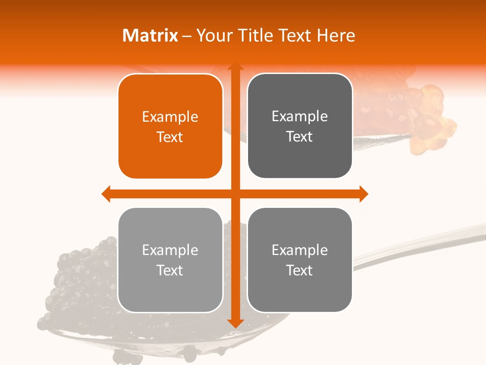 Macro White Black PowerPoint Template