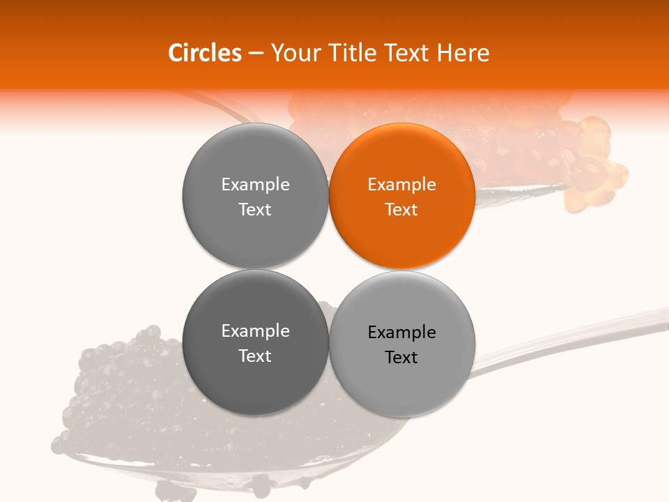 Macro White Black PowerPoint Template