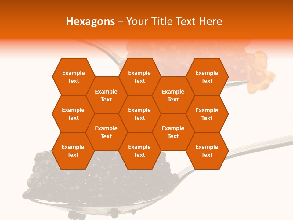 Macro White Black PowerPoint Template