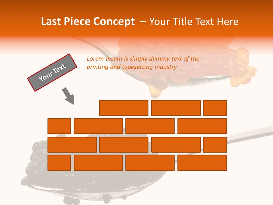 Macro White Black PowerPoint Template