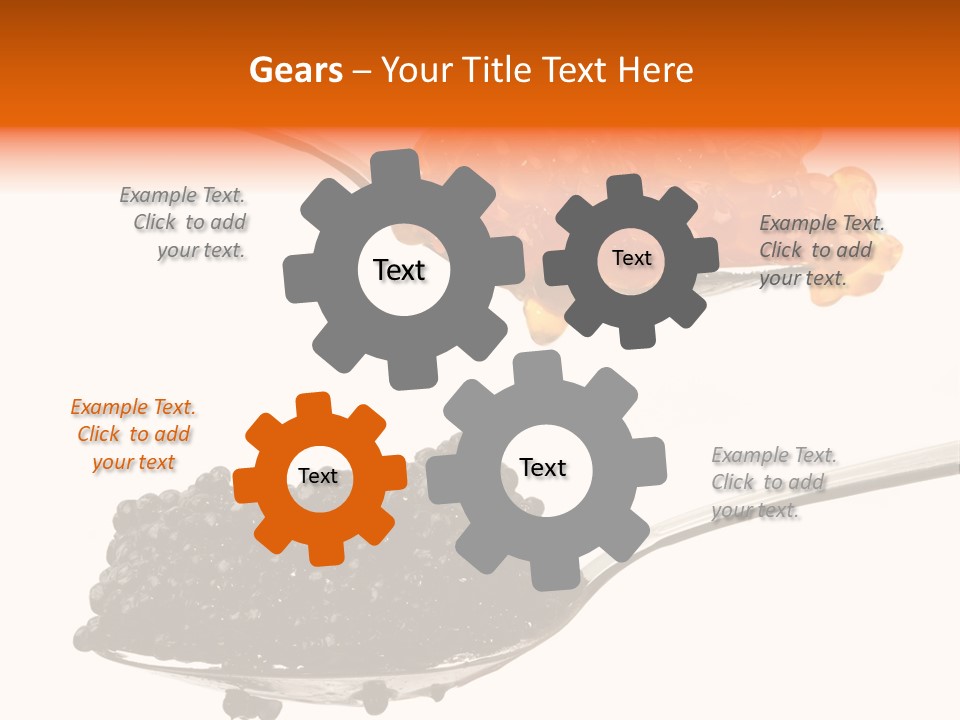 Macro White Black PowerPoint Template