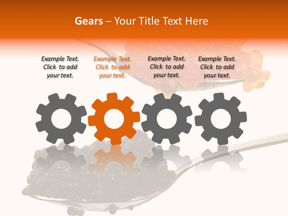 Macro White Black PowerPoint Template