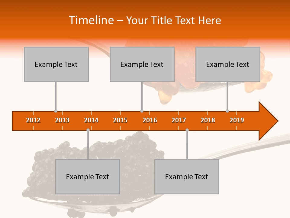 Macro White Black PowerPoint Template