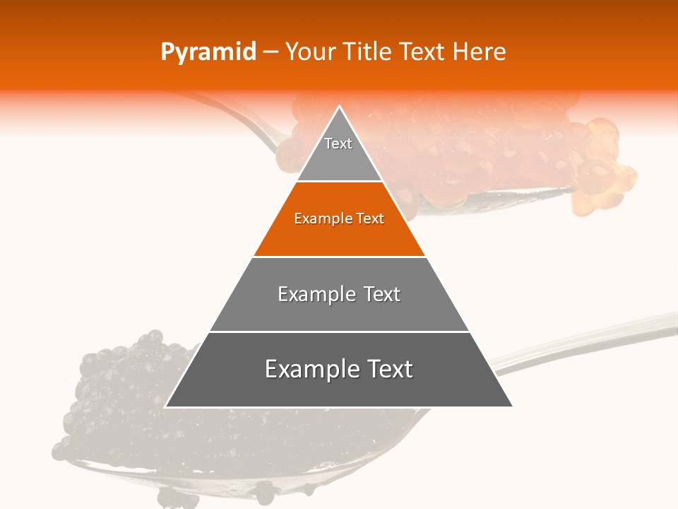 Macro White Black PowerPoint Template