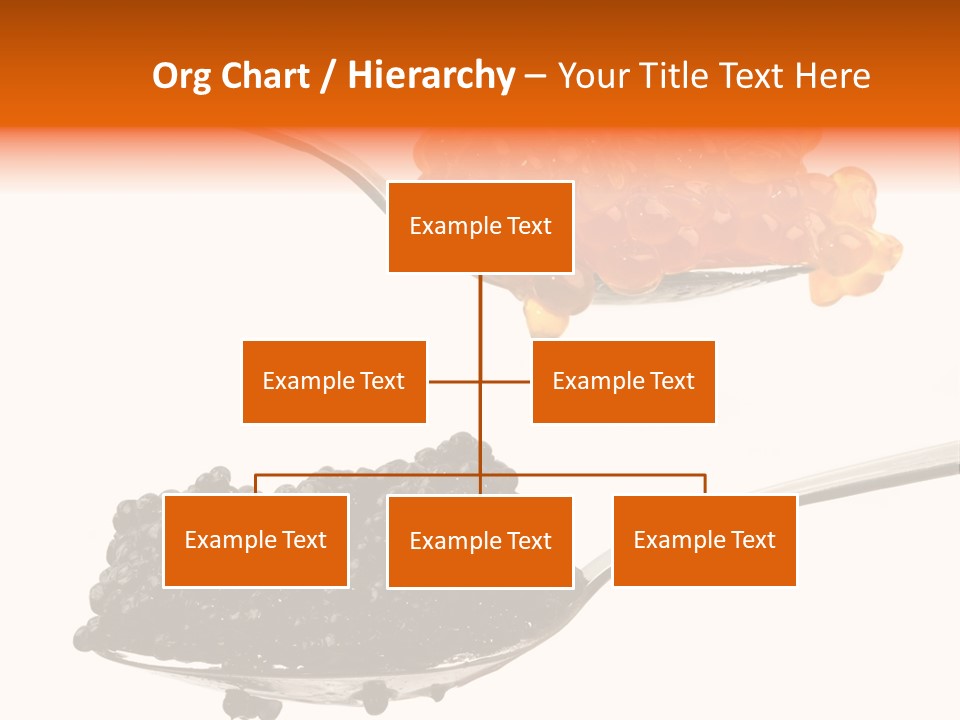 Macro White Black PowerPoint Template
