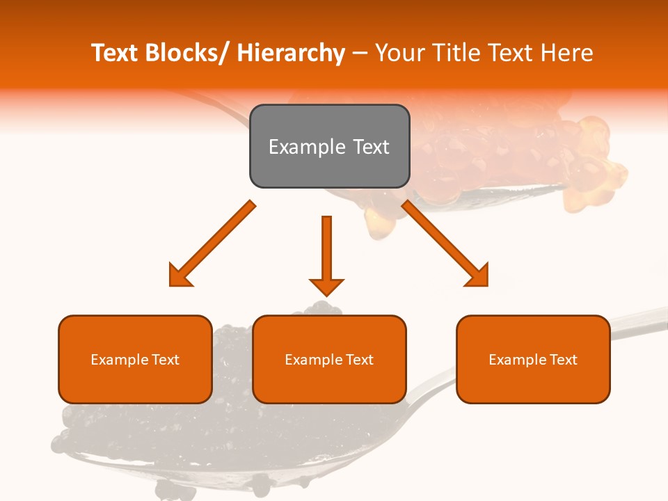 Macro White Black PowerPoint Template