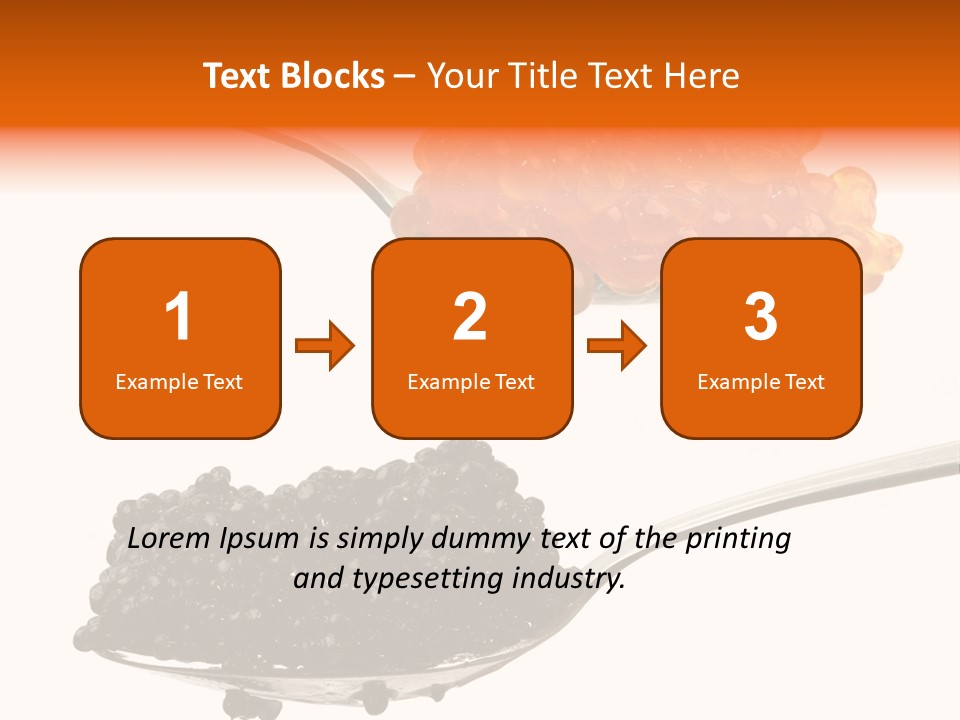 Macro White Black PowerPoint Template